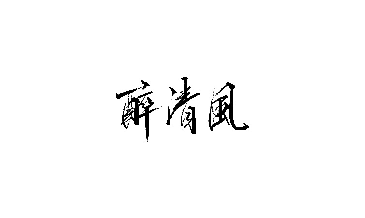 100P Chinese traditional calligraphy brush calligraphy font style appreciation #.514