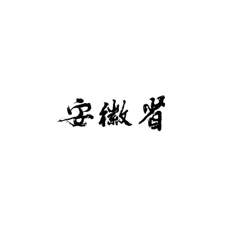 20P Chinese traditional calligraphy brush calligraphy font style appreciation #.588