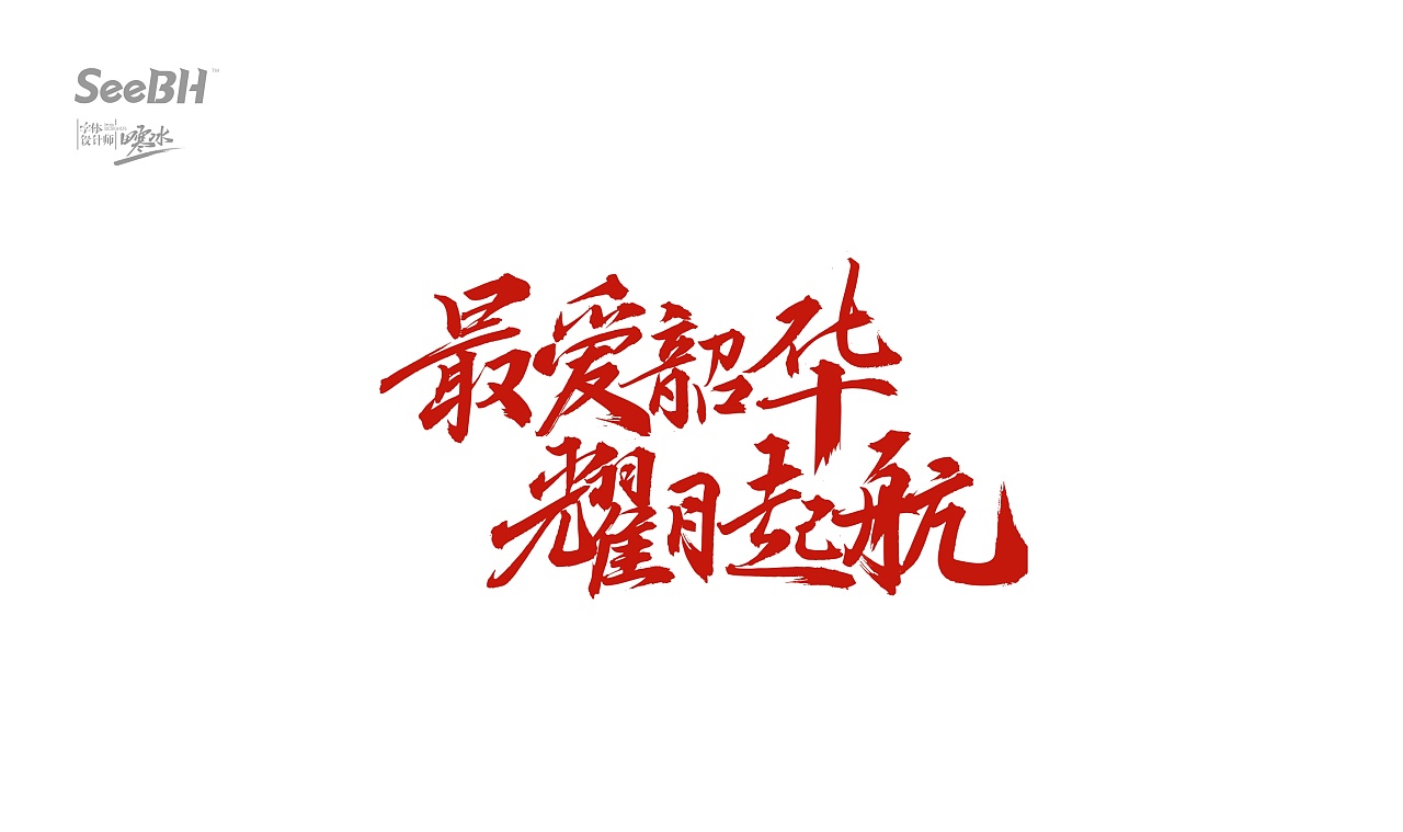 16P Chinese traditional calligraphy brush calligraphy font style appreciation #.592
