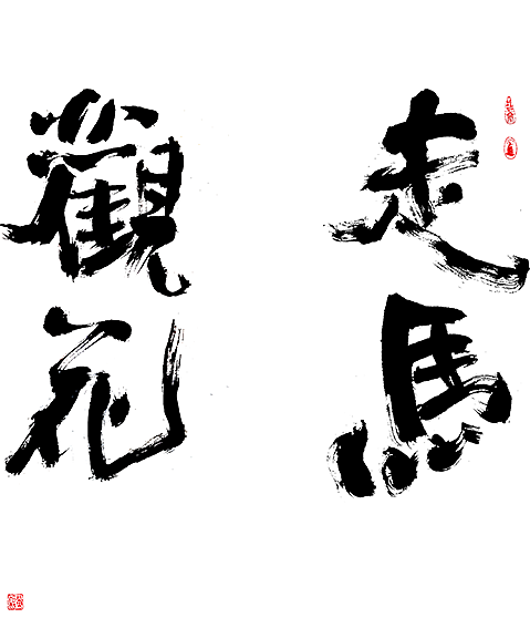 8P Chinese traditional calligraphy brush calligraphy font style appreciation #.688