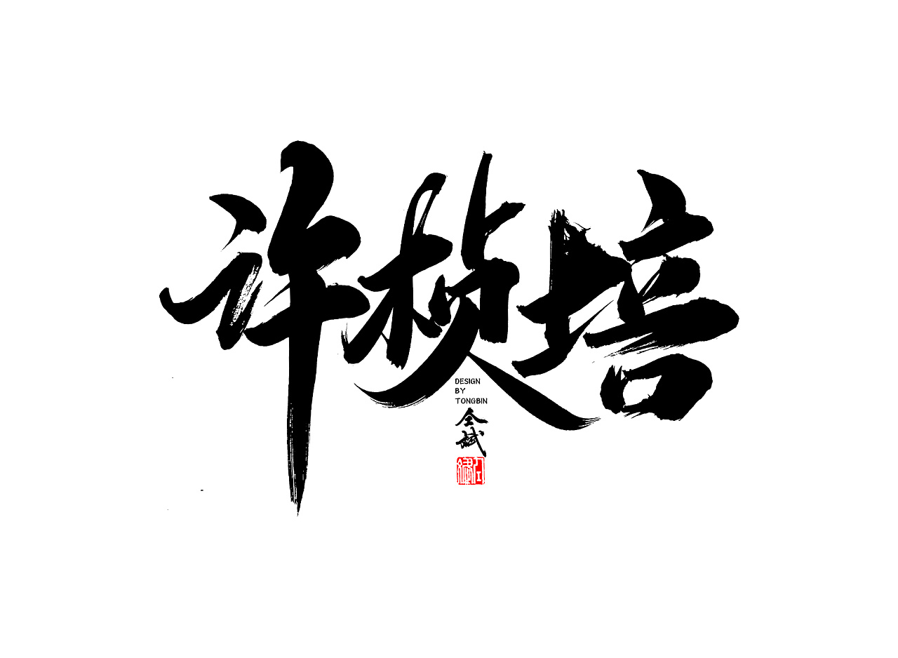 30P Chinese traditional calligraphy brush calligraphy font style appreciation #.692