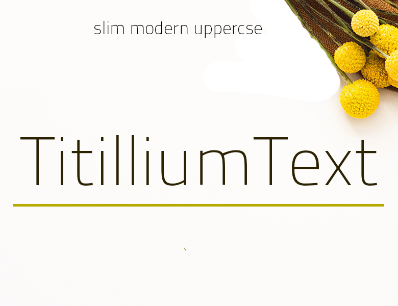 TitilliumText14L-Bold Font Download
