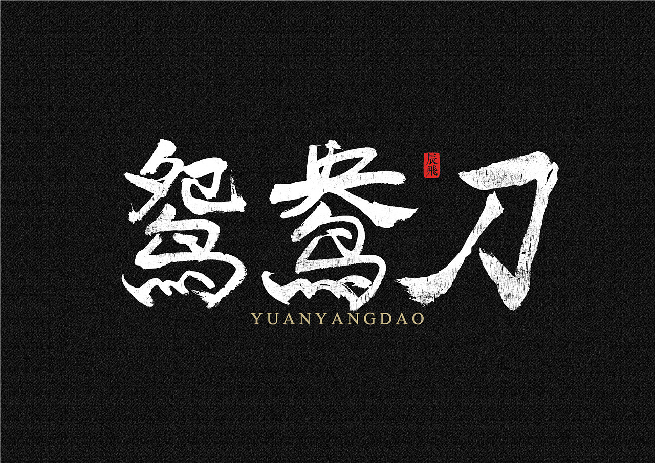 16P Chinese traditional calligraphy brush calligraphy font style appreciation #.718
