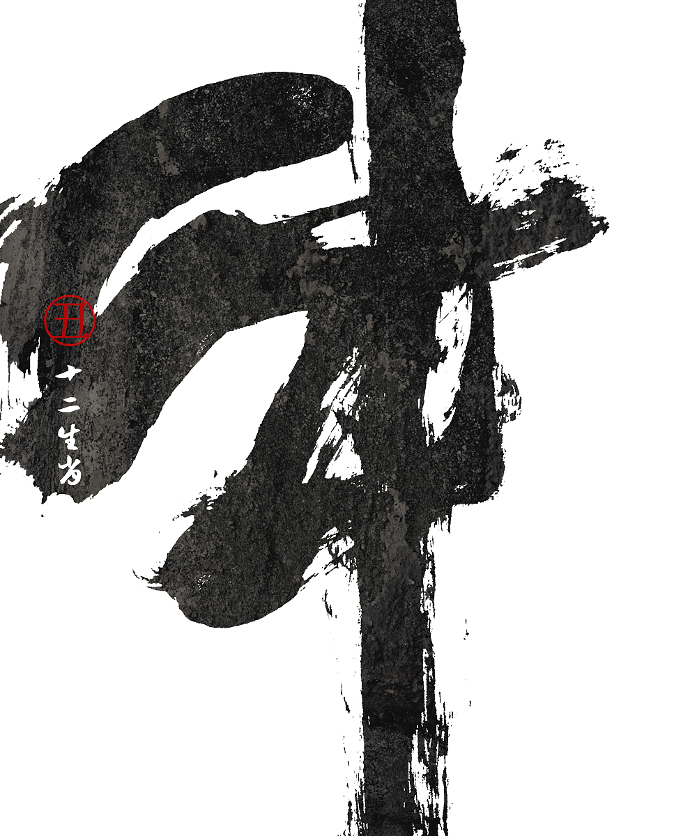 10P Chinese traditional calligraphy brush calligraphy font style appreciation #.896