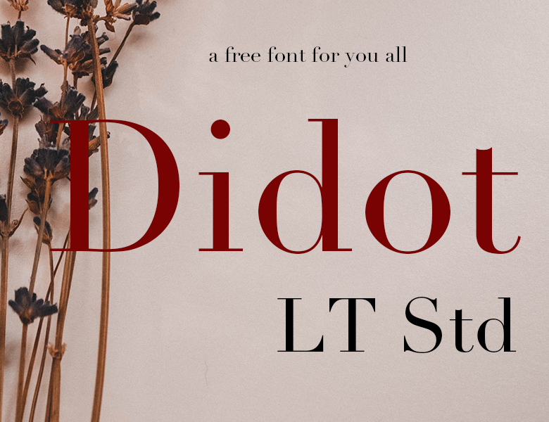 Didot LT Std Roman Font Download