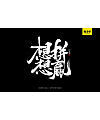 10P Chinese traditional calligraphy brush calligraphy font style appreciation #.1028