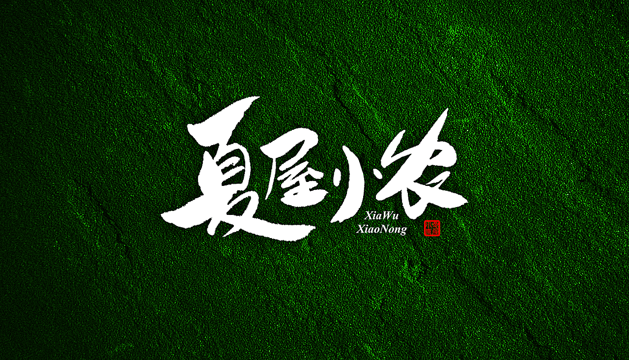29P Chinese traditional calligraphy brush calligraphy font style appreciation #.1066