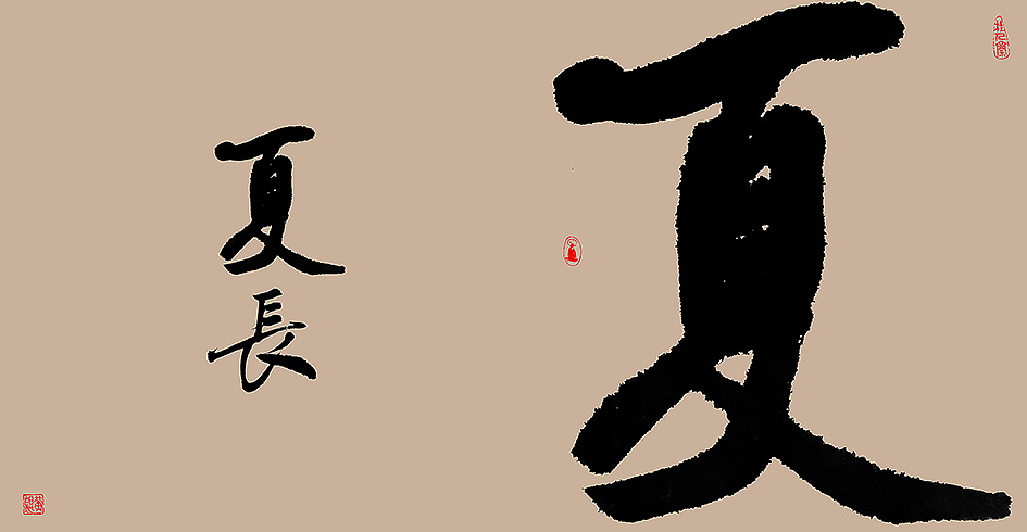 16P Chinese traditional calligraphy brush calligraphy font style appreciation #.1188