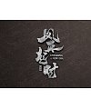 7P Chinese traditional calligraphy brush calligraphy font style appreciation #.1320
