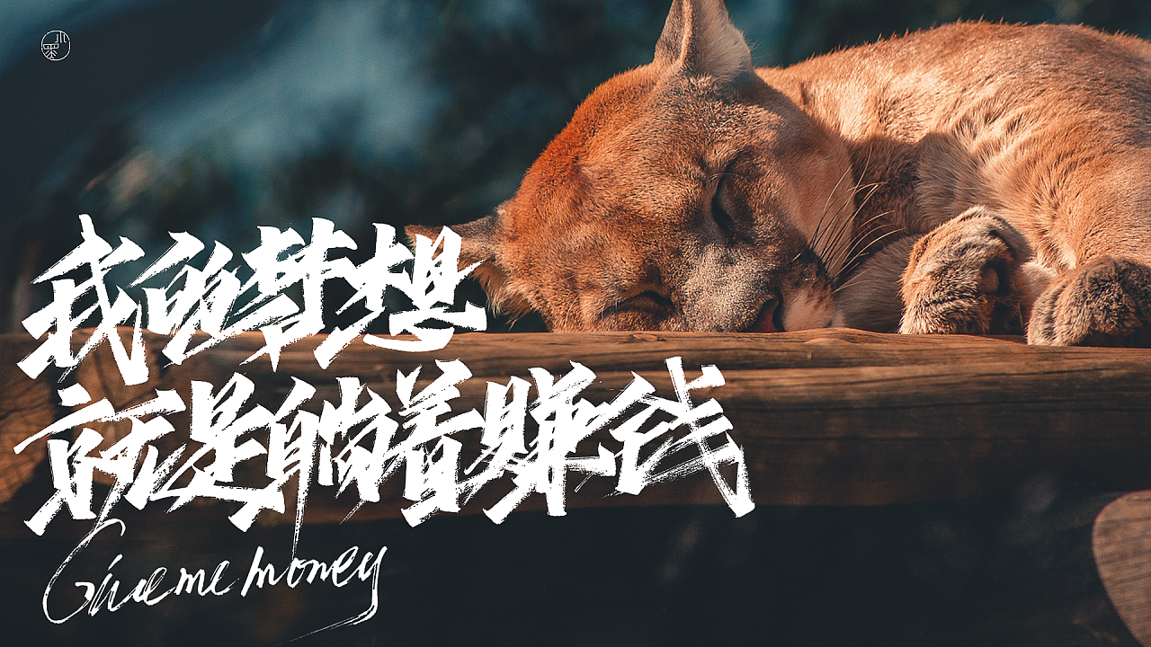 66P Chinese traditional calligraphy brush calligraphy font style appreciation #.1328