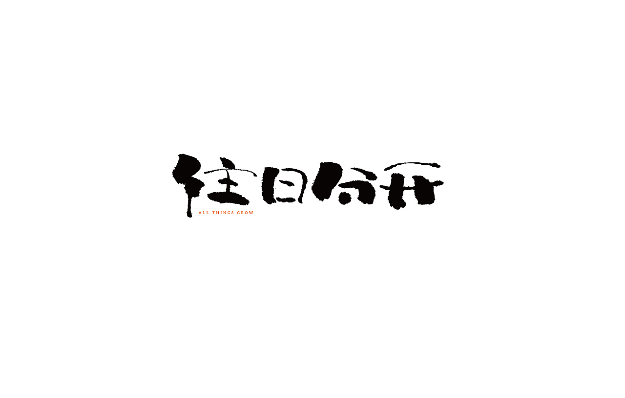 14P Chinese traditional calligraphy brush calligraphy font style appreciation #.1381