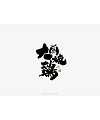 6P Chinese traditional calligraphy brush calligraphy font style appreciation #.1389