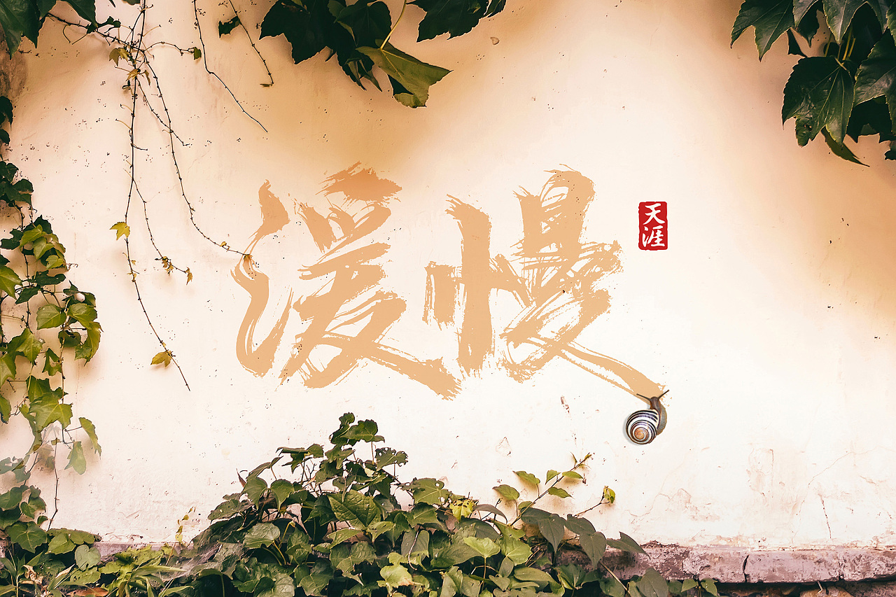 15P Chinese traditional calligraphy brush calligraphy font style appreciation #.1513