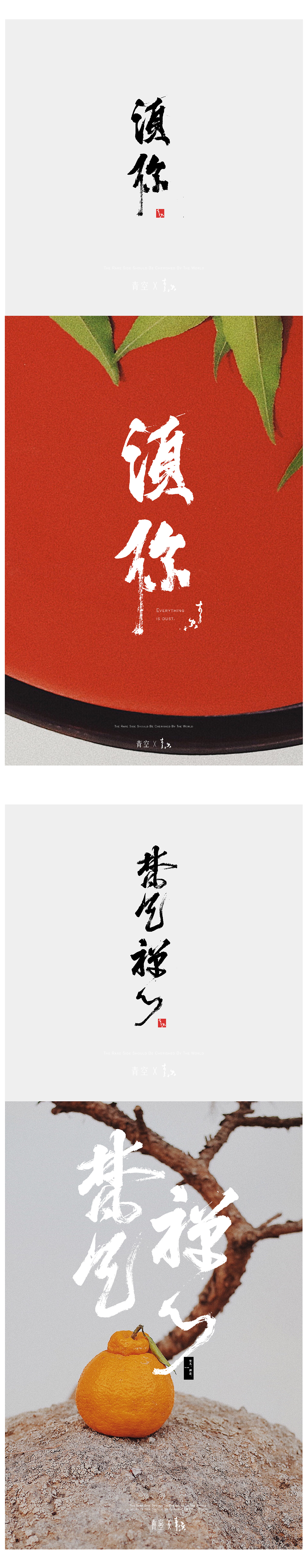 6P Chinese traditional calligraphy brush calligraphy font style appreciation #.1517