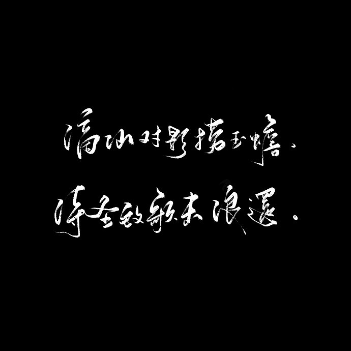 9P Chinese traditional calligraphy brush calligraphy font style appreciation #.1564