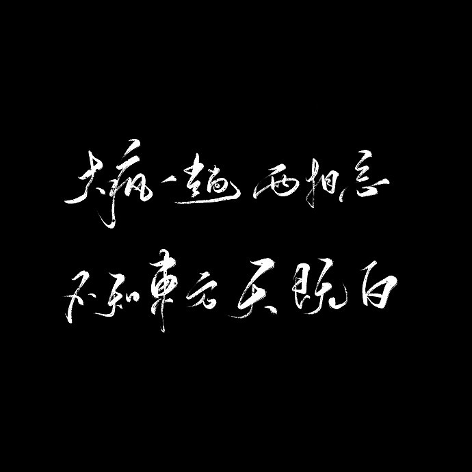 9P Chinese traditional calligraphy brush calligraphy font style appreciation #.1564