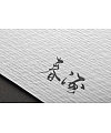 5P Chinese traditional calligraphy brush calligraphy font style appreciation #.1569