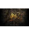 16P Chinese traditional calligraphy brush calligraphy font style appreciation #.1730