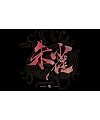 4P Chinese traditional calligraphy brush calligraphy font style appreciation #.1797