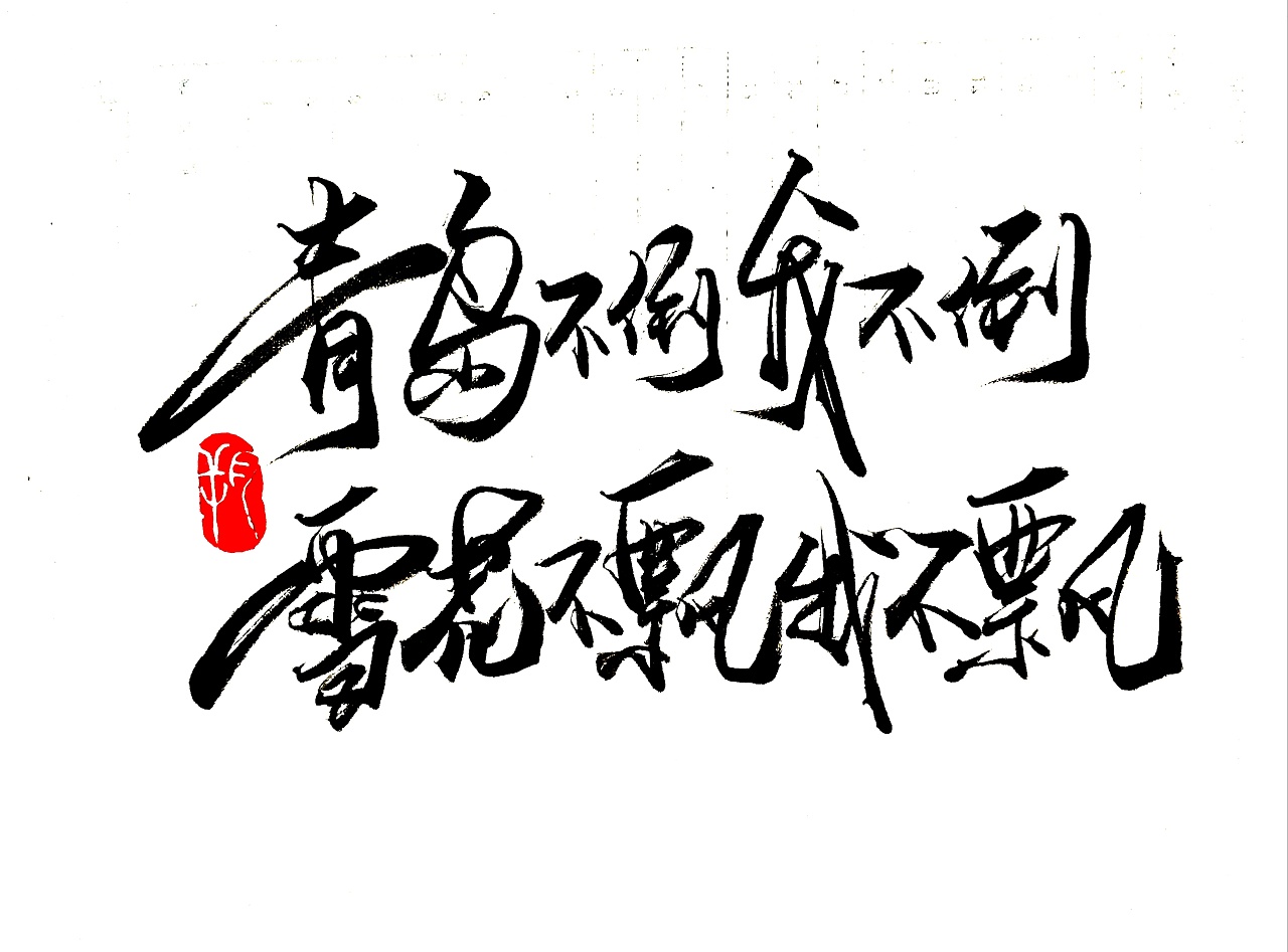 13P Chinese traditional calligraphy brush calligraphy font style appreciation #.1878