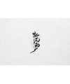 10P Chinese traditional calligraphy brush calligraphy font style appreciation #.1940