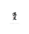 13P Chinese traditional calligraphy brush calligraphy font style appreciation #.2077