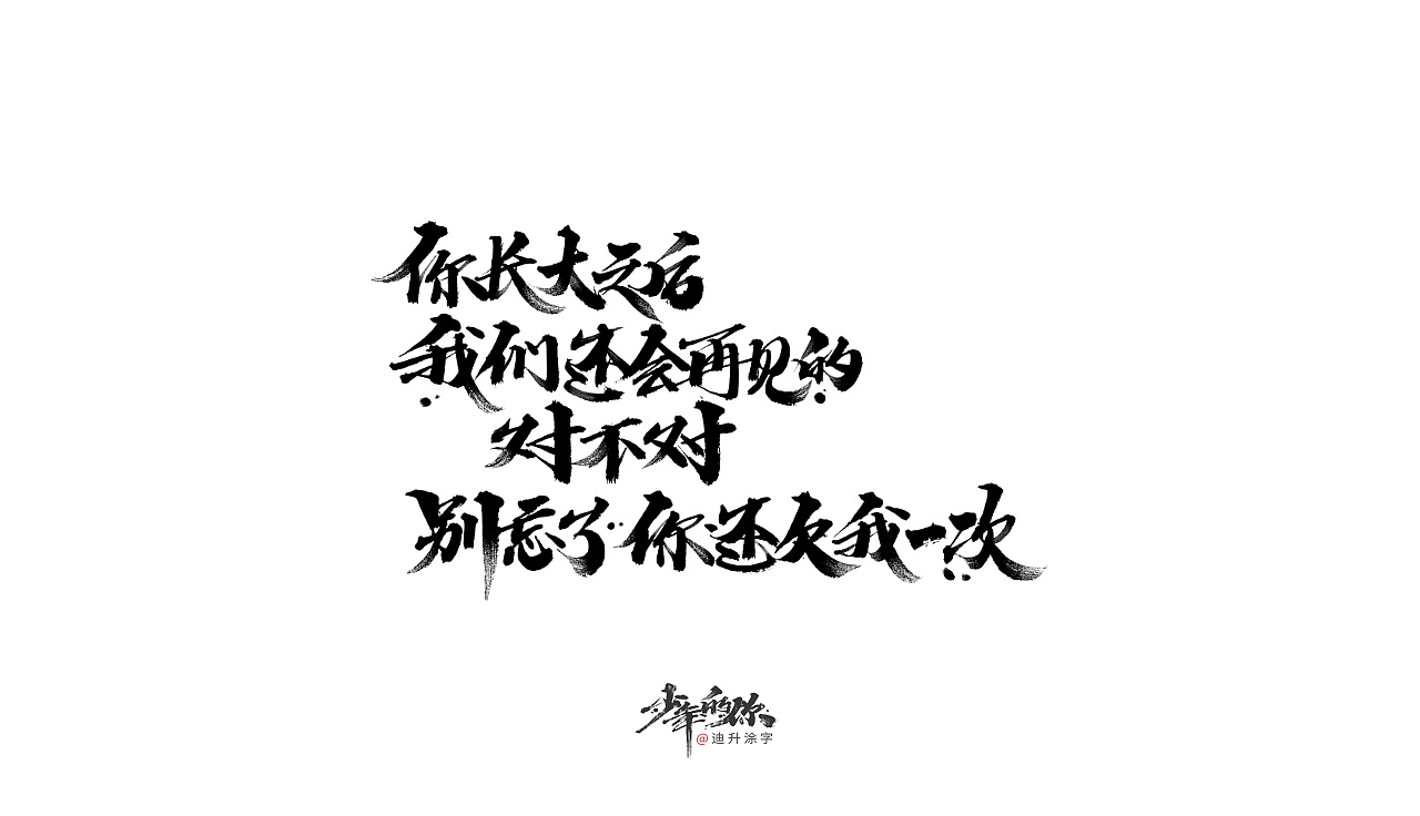 17P Chinese traditional calligraphy brush calligraphy font style appreciation #.2216