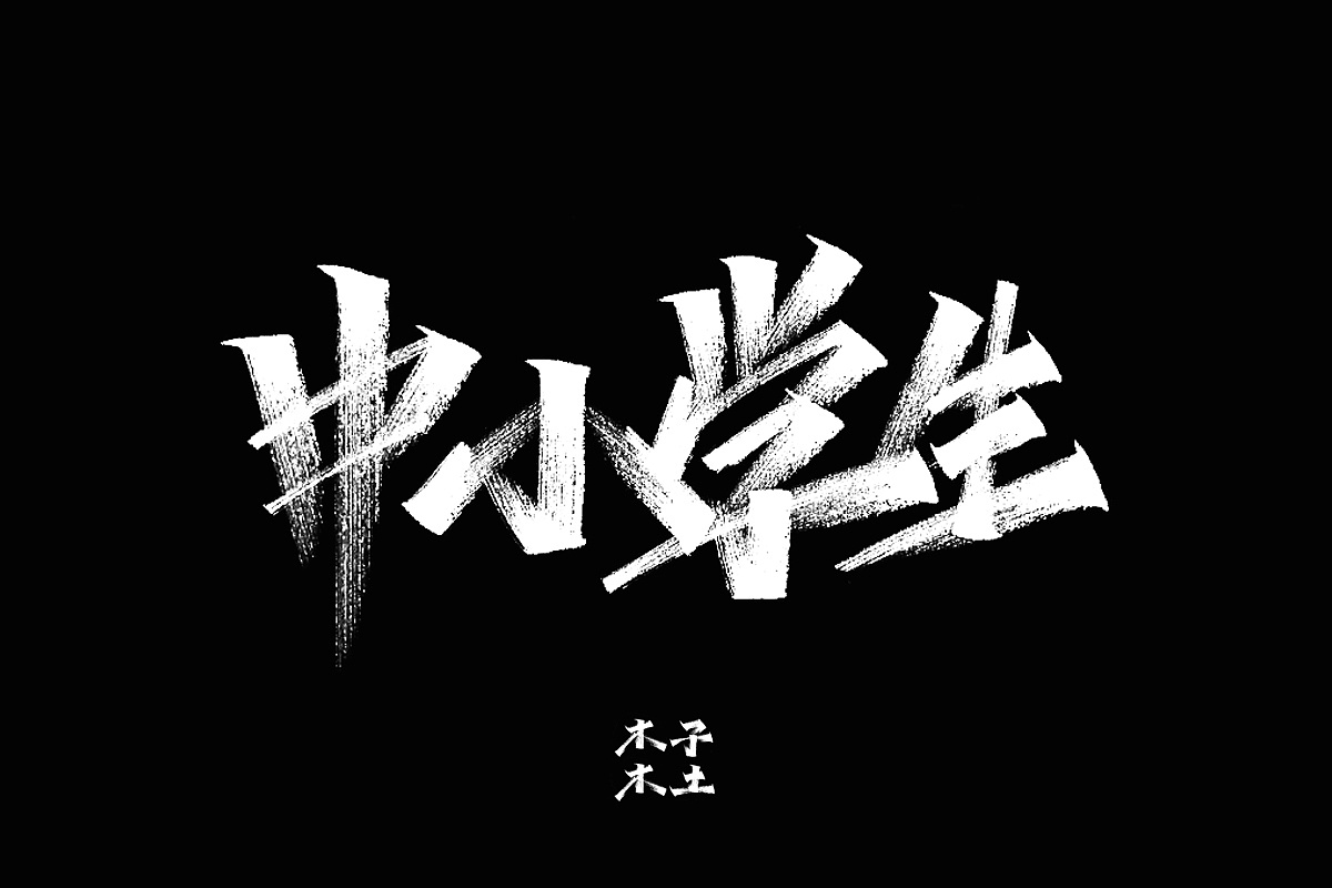 16P Chinese traditional calligraphy brush calligraphy font style appreciation #.2304