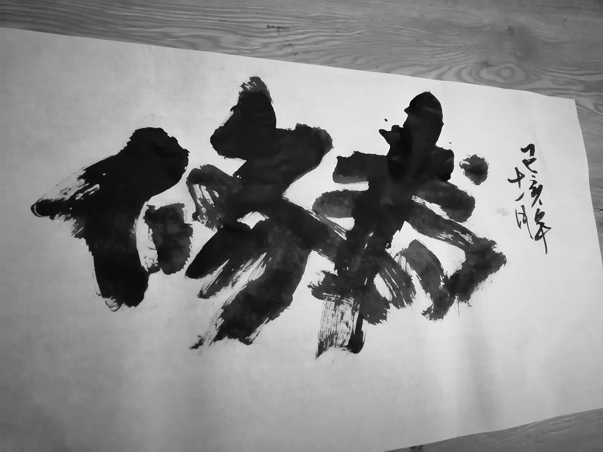 12P Chinese traditional calligraphy brush calligraphy font style appreciation #.2363