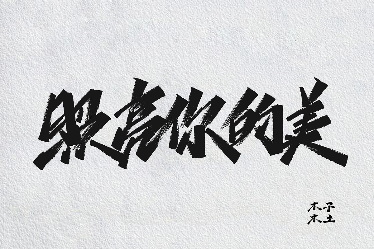 46P Chinese traditional calligraphy brush calligraphy font style appreciation #.2390