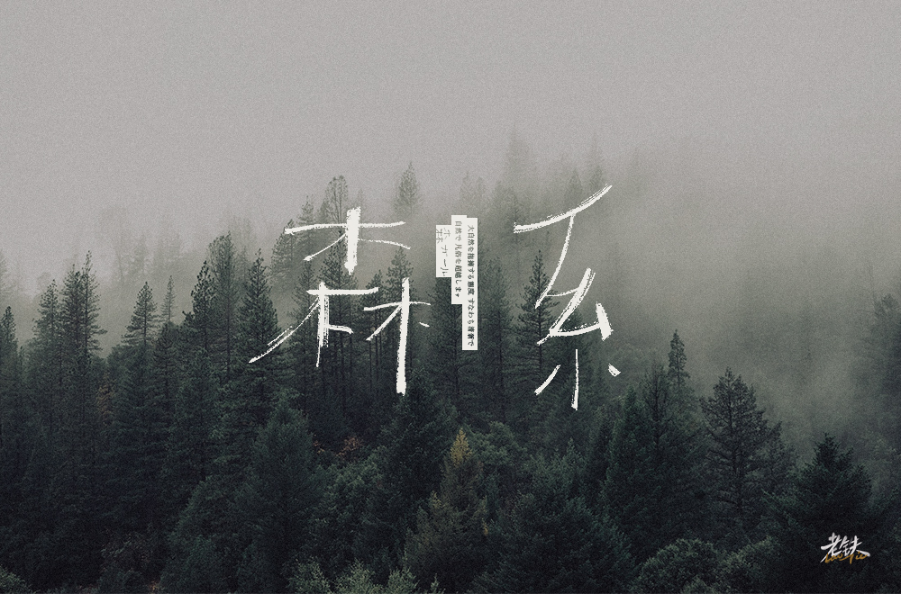 Creative font design with different styles and backgrounds based on the word Senxi