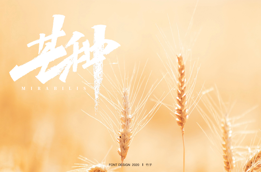 Creative font design with different styles and backgrounds based on the word Mangzhong