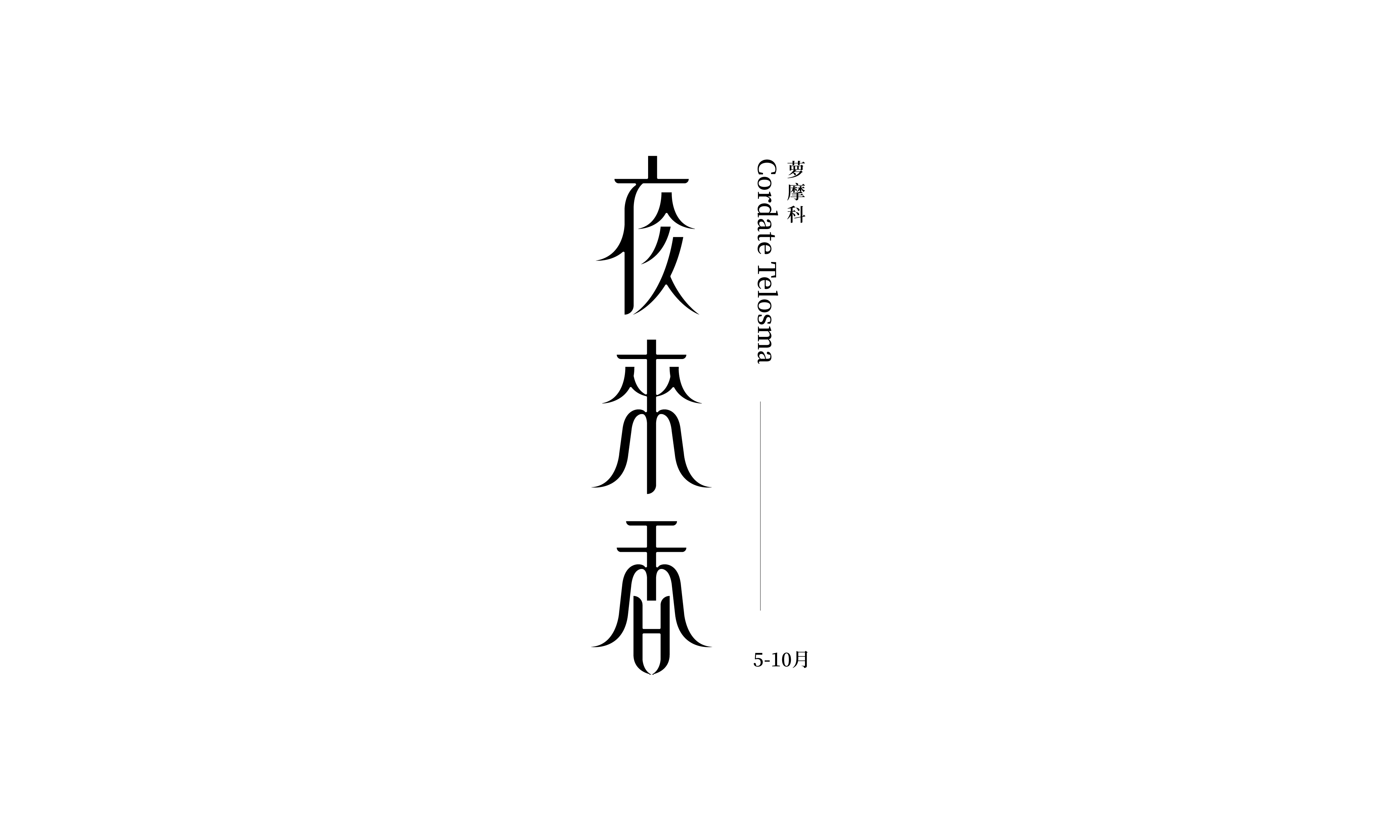 100P Chinese font design collection inspiration #.459