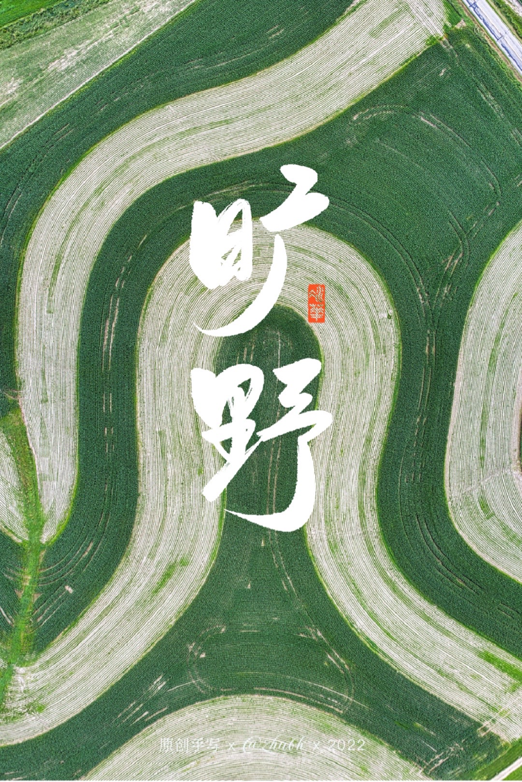 22P Inspiration Chinese font logo design scheme #.349