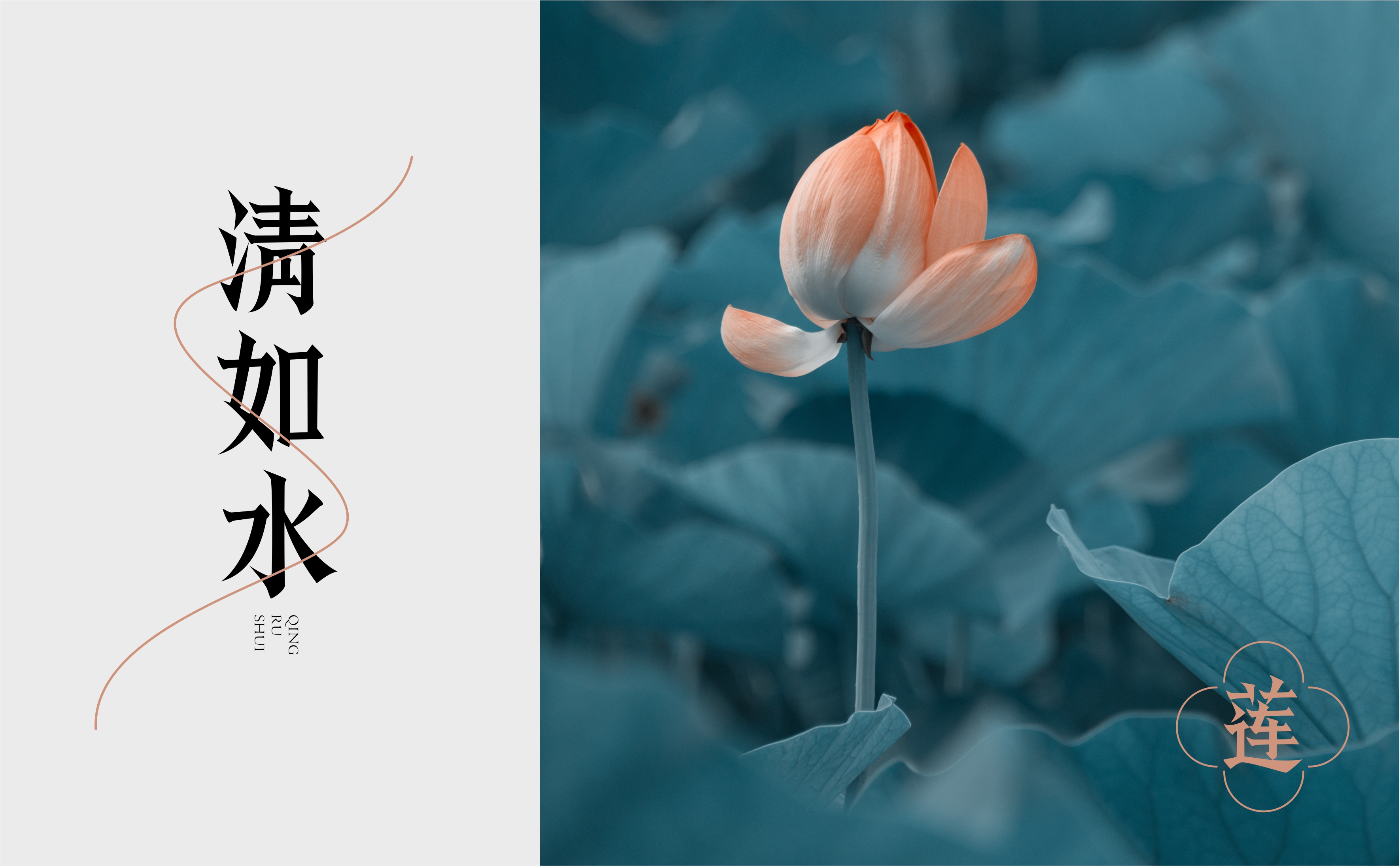 12P Inspiration Chinese font logo design scheme #.706