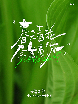 9P Inspiration Chinese font logo design scheme #.1032